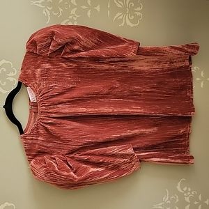 Leyden women's crushed velvet top XL